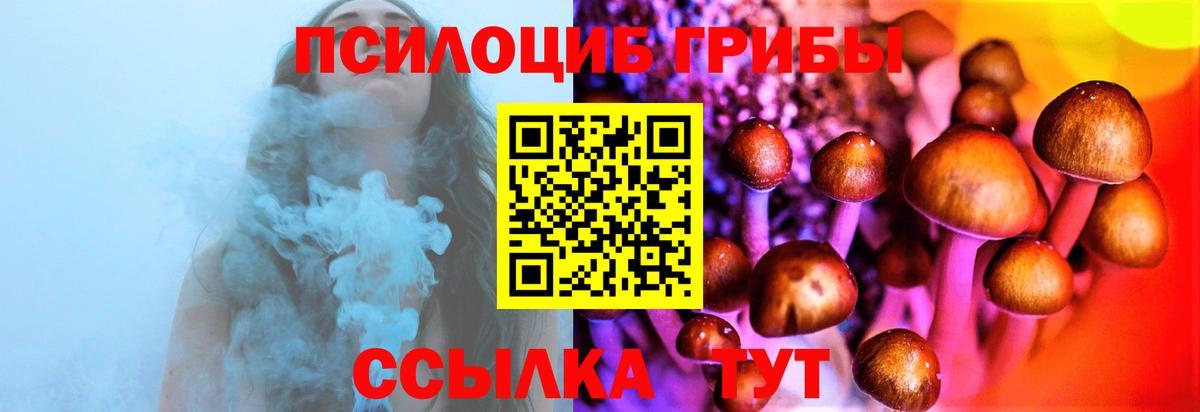 Галлюциногенные грибы Magic Shrooms  Вход с VPN  Нововоронеж 